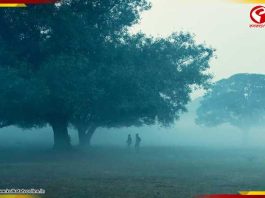 বঙ্গোপসাগরে নিম্নচাপ, সকালে শিরশিরে হাওয়া! ঠান্ডা আসবে মাঝ নভেম্বরেই?