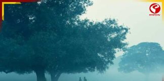 বঙ্গোপসাগরে নিম্নচাপ, সকালে শিরশিরে হাওয়া! ঠান্ডা আসবে মাঝ নভেম্বরেই?