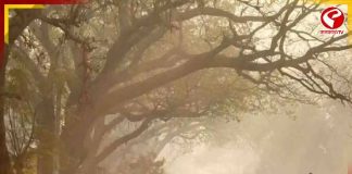 পাকাপাকিভাবে রাজ্যে শীত কবে? অবশেষে দিনক্ষণ জানাল আবহাওয়া দফতর