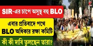 BLO -দের কমিশন অভিযান, এসআইআর চাপে অসুস্থ অনেকে, কী দাবি?