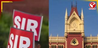 SIR-এ তৃতীয় লিঙ্গের নাম তোলা নিয়ে মামলা, কী জানাল হাইকোর্ট?