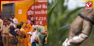 সারের জন্য হাহাকার! ডবল-ইঞ্জিন রাজ্যে মৃত্যু একের পর এক কৃষকের