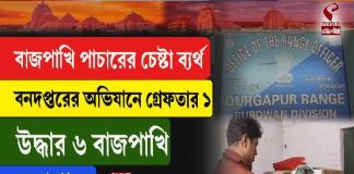 বাজপাখি পাচারের চেষ্টা ভন্ডুল, গ্রেফতার ১