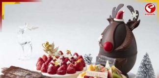 রংবেরঙে বড়দিন! এবারের ক্রিসমাসে বানিয়ে ফেলুন হরেক রঙিন কেক