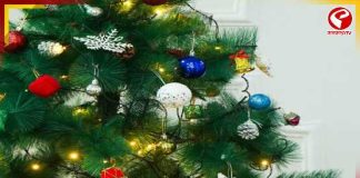 বড়দিনে বাড়িতে ক্রিসমাস ট্রি সাজাবেন? এই ভাবে সাজালেই দারুণ দেখাবে ঘর