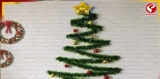 কোন চার রঙেই কেন সেজে ওঠে ক্রিসমাস ট্রি? বড়দিনের আগেই জেনে নিন…