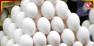 শীতে ডিমের দাম আকাশছোঁয়া! কবে কমবে দাম?