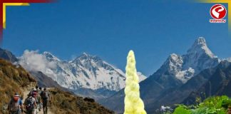 হিমালয়ে ফুটছে রহস্যময় ফুল! এই বিরল ঘটনা আসলে কীসের ইঙ্গিত?