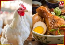 বাড়ছে বার্ড ফ্লু সংক্রমণ! এখন চিকেন বা ডিম খাওয়া কতটা নিরাপদ?