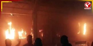 মাঝরাতে ট্রেনে ভয়াবহ অগ্নিকাণ্ড! ১৫৮ যাত্রীবোঝাই ২ কামরা পুড়ে ছাই