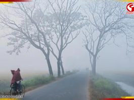 কনকনে ঠান্ডায় দার্জিলিংকে টেক্কা দিচ্ছে জঙ্গলমহল