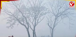 কনকনে ঠান্ডায় দার্জিলিংকে টেক্কা দিচ্ছে জঙ্গলমহল