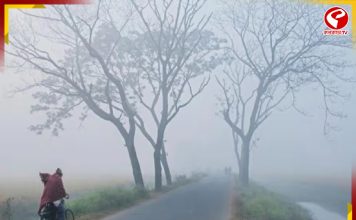 কনকনে ঠান্ডায় দার্জিলিংকে টেক্কা দিচ্ছে জঙ্গলমহল