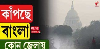 নতুন বছরেও শীতের দাপট? ৩১ ডিসেম্বর পর্যন্ত কনকনে ঠান্ডা