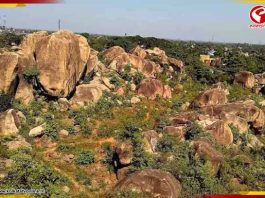 নদী–পাহাড়–রাজবাড়ি এক সফরে! শান্তিনিকেতনের কাছে লুকোনো শীতের সেরা ডেস্টিনেশন