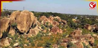 নদী–পাহাড়–রাজবাড়ি এক সফরে! শান্তিনিকেতনের কাছে লুকোনো শীতের সেরা ডেস্টিনেশন