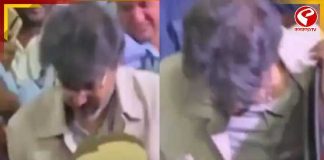 চেন্নাই বিমানবন্দরে থালাপতি বিজয়কে ঘিরে হুড়োহুড়ি, পড়ে গেলেন অভিনেতা