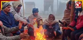 বড়দিনের আগেই জাঁকিয়ে শীত! রাজ্যে ১০ ডিগ্রির নীচে নামবে পারদ?