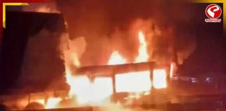 বিরাটি স্টেশন লাগোয়া যদুবাবুর বাজারে ভয়াবহ আগুন, পুড়ে ছাই একাধিক দোকান