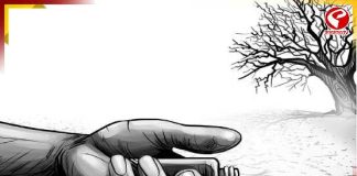 চাষে লোকসান ও ঋণের বোঝা, মানসিক অবসাদে আত্মঘাতী কৃষক