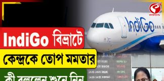 IndiGo বিভ্রাটে কেন্দ্রকে তোপ মমতার, কী বলছেন শুনে নিন