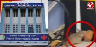 হাসপাতালে ইঁদুর-রাজ! ডবল-ইঞ্জিন রাজ্যে স্বাস্থ্য ব্যবস্থার এ কী হাল!