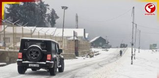 রাতভর তুষারপাত! বরফের চাদরে ঢাকল ভূস্বর্গ, দেখুন কাশ্মীরের ছবি