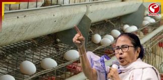 ডিমের অস্বাভাবিক মূল্যবৃদ্ধি নিয়ে কেন্দ্রকে তোপ! কী বললেন মমতা?