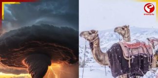 সৌদির তুষারপাতে অশনি সংকেত! কেন সতর্ক হতে হবে ভারতকে?