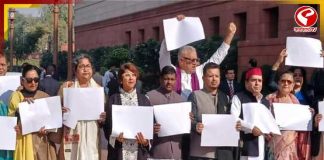 অভিষেকের চ্যালেঞ্জ অপূর্ণ, সংসদে তৃণমূলের অভিনব বিক্ষোভ