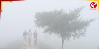 রাজ্যে শীতের আমেজ, উত্তুরে হাওয়া, ৪ জেলায় ঘন কুয়াশার সতর্কতা