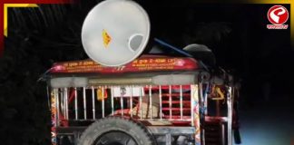 তিন দিন পরও অধরা, পাথরপ্রতিমার লোকালয়ে বাঘের আতঙ্ক