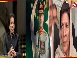 ‘জেলেই খুন হয়ে যেতে পারেন ইমরান খান’! কেন এই আশঙ্কা বোন আলেমার?