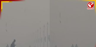 মারাত্মক দুষণ! দেখা যাচ্ছে না কিছুই, দিল্লিতে একাধিক গাড়ির সংঘর্ষ