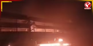 দৃশ্যমানতা শূন্য, দিল্লিতে ভয়াবহ দুর্ঘটনায় প্রাণহানি চার জনের