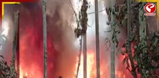 গোডাউনে ভয়াবহ অগ্নিকাণ্ড, পুড়ে ছাই অধিকাংশ , দেখুন কী অবস্থা