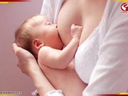 সদ্যোজাত শিশুদের মায়ের দুধ পান কতটা জরুরী! কী বলছেন চিকিৎসকরা?