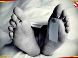 ফের হয়রানির বলি! SIR-এর লাইনে দীর্ঘক্ষণ অপেক্ষা করে মৃত্যু বৃদ্ধের