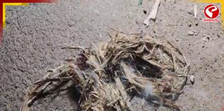 জগৎবল্লভপুরে দুষ্কৃতীদের তাণ্ডব! আহত দুই