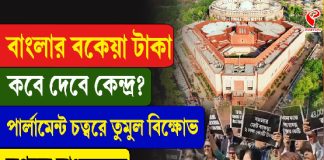 কেন্দ্রের বঞ্চনার বিরুদ্ধে সংসদ চত্বরে বিক্ষোভ তৃণমূলের!