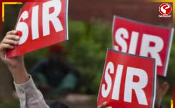 SIR-এর কাজ করতে গিয়ে ফের অসুস্থ হয়ে পড়লেন বিএলও!