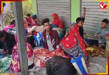 SIR-এর ভয়ে ভারত ছাড়ছেন বাংলাদেশিরা! ভিড় জমাচ্ছেন সীমান্তে