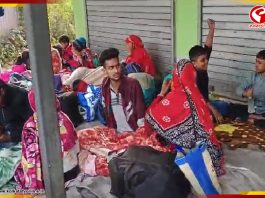 SIR-এর ভয়ে ভারত ছাড়ছেন বাংলাদেশিরা! ভিড় জমাচ্ছেন সীমান্তে