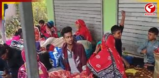 SIR-এর ভয়ে ভারত ছাড়ছেন বাংলাদেশিরা! ভিড় জমাচ্ছেন সীমান্তে