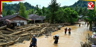 জঙ্গল কাটার ফল, সুমাত্রায় ভয়াবহ বিপর্যয়!