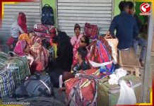 দেশে ফেরার জন্য বিএসএফ-এর কাছে আত্মসমর্পণ বাংলাদেশিদের!