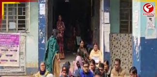 সালামপুর ব্লক অফিসের সামনে বিএলওদের বিক্ষোভ! কেন?