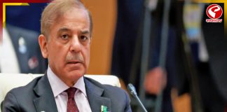 এবার জেন-জি বিক্ষোভ পাকিস্তানে! সোশাল মিডিয়া বন্ধ করছে সরকার