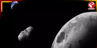 সাত বছর পর চাঁদের সঙ্গে সংঘর্ষ হবে গ্রহাণুর! প্রভাব পড়বে পৃথিবীতেও