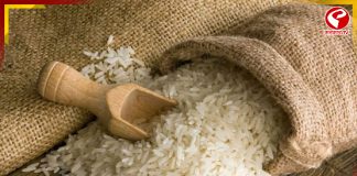 চাল উৎপাদনকারী দেশ হিসাবে শীর্ষে উঠল ভারত!